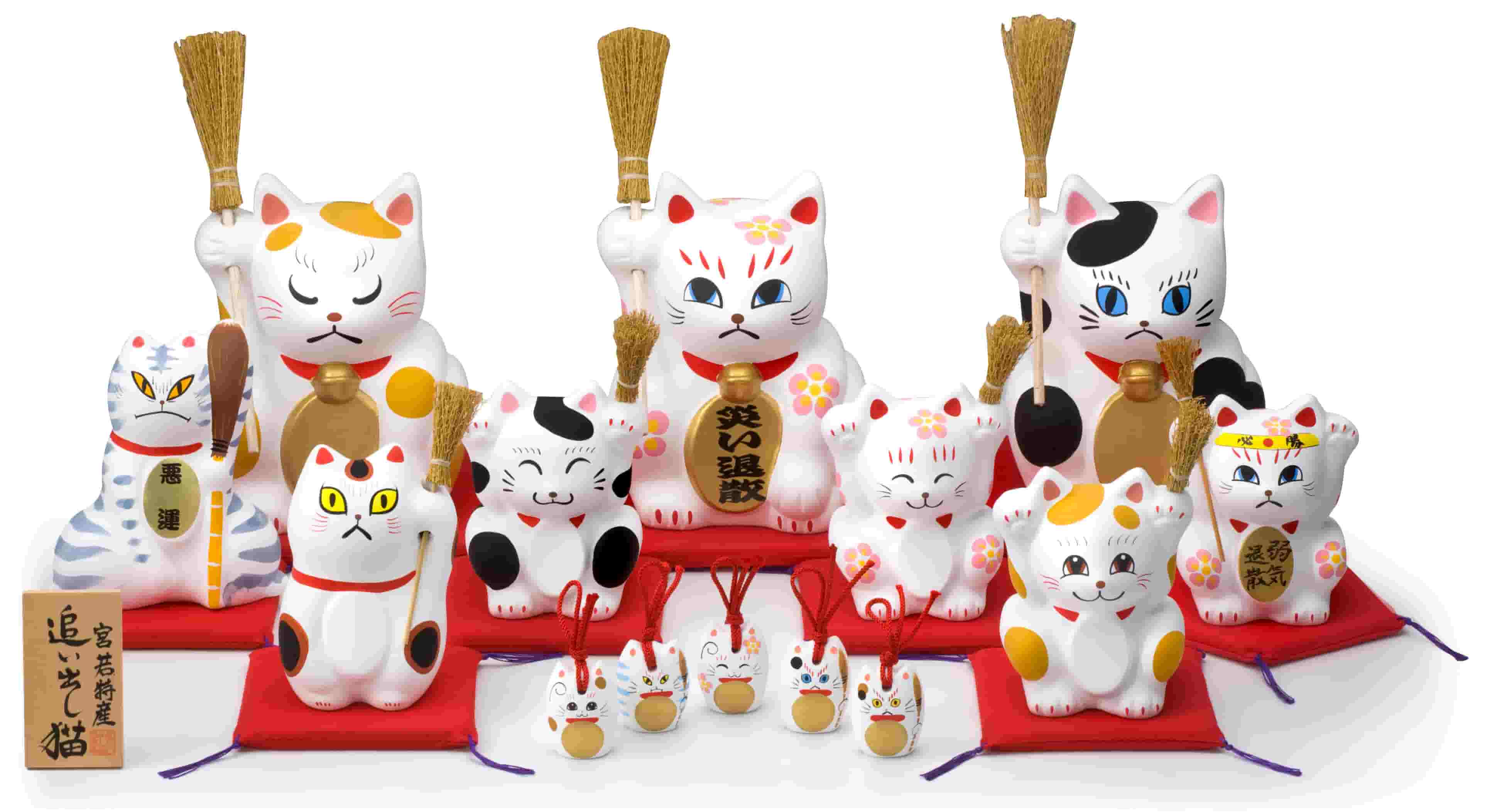 追い出し猫