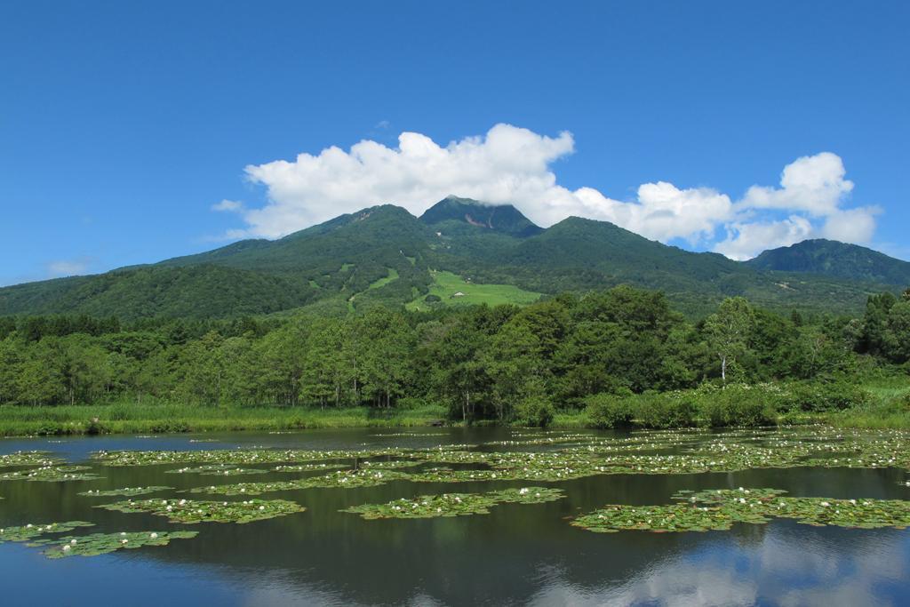 池の平自然園「いもり池」