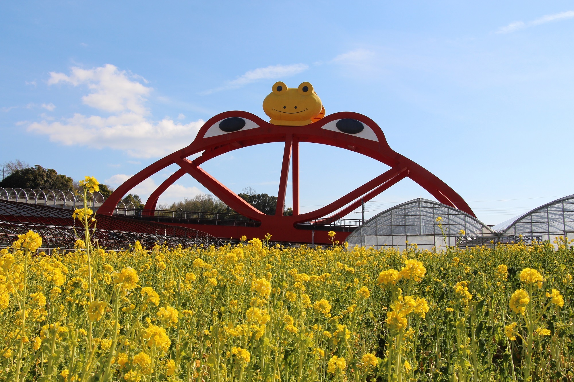 印南町のかえる橋