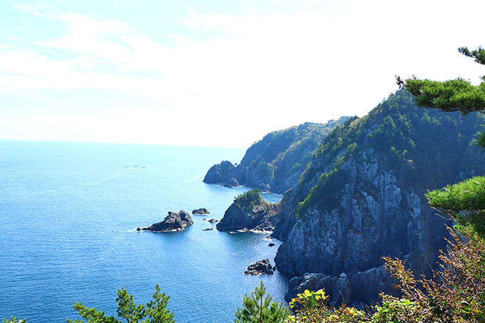 普代村のアンモ浦展望台