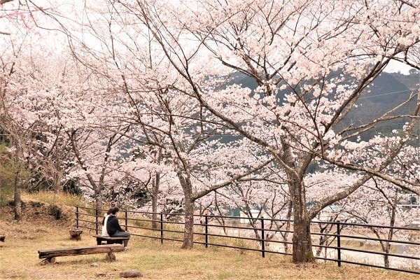 尾鷲市の玄工山公園