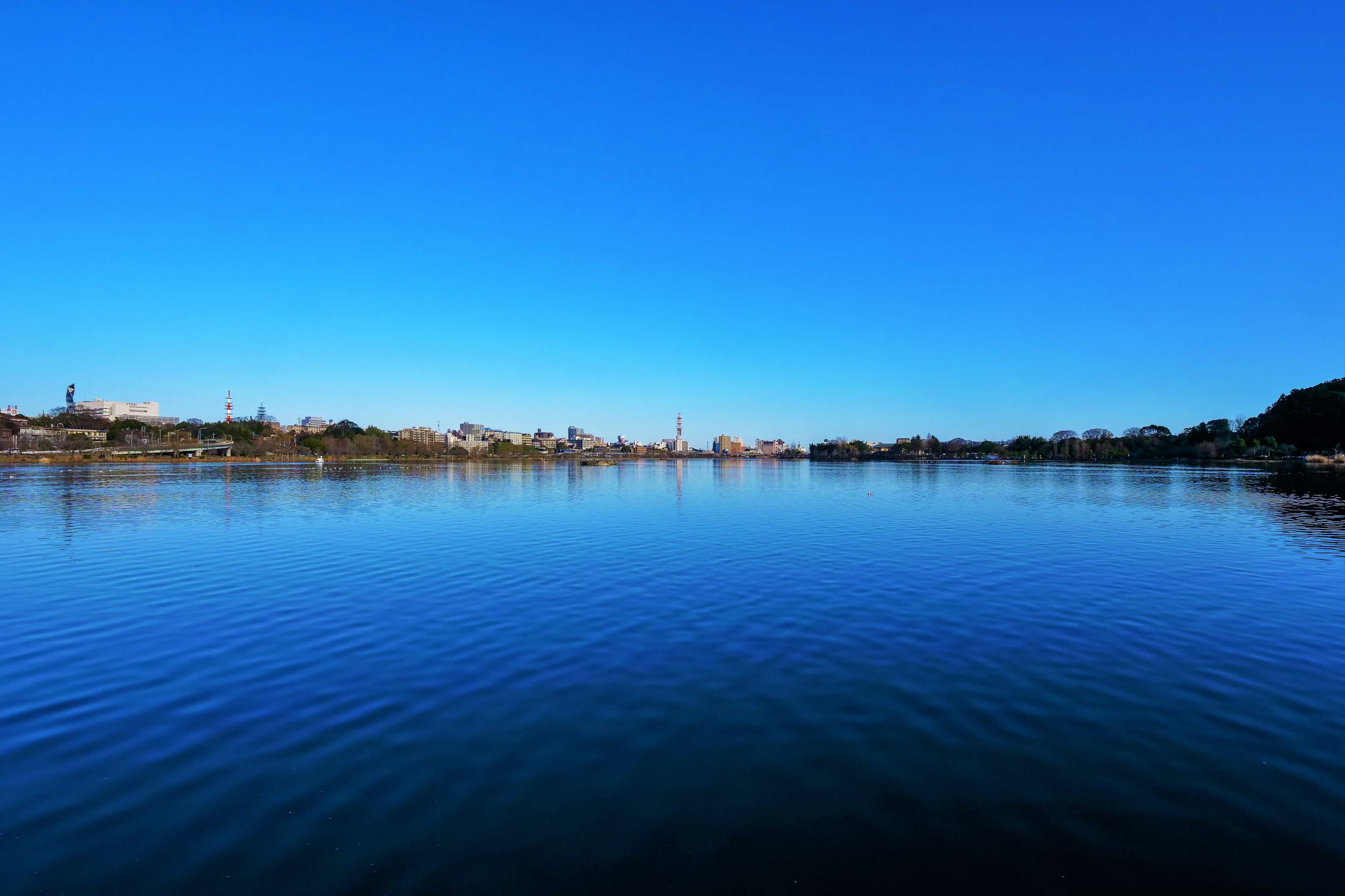 水戸市の千波湖