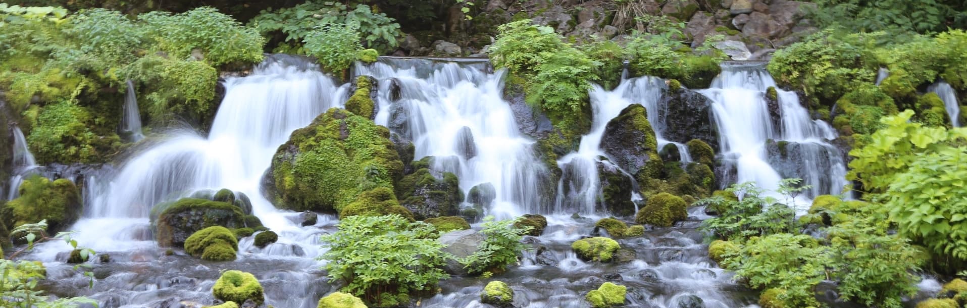 京極町の湧き水