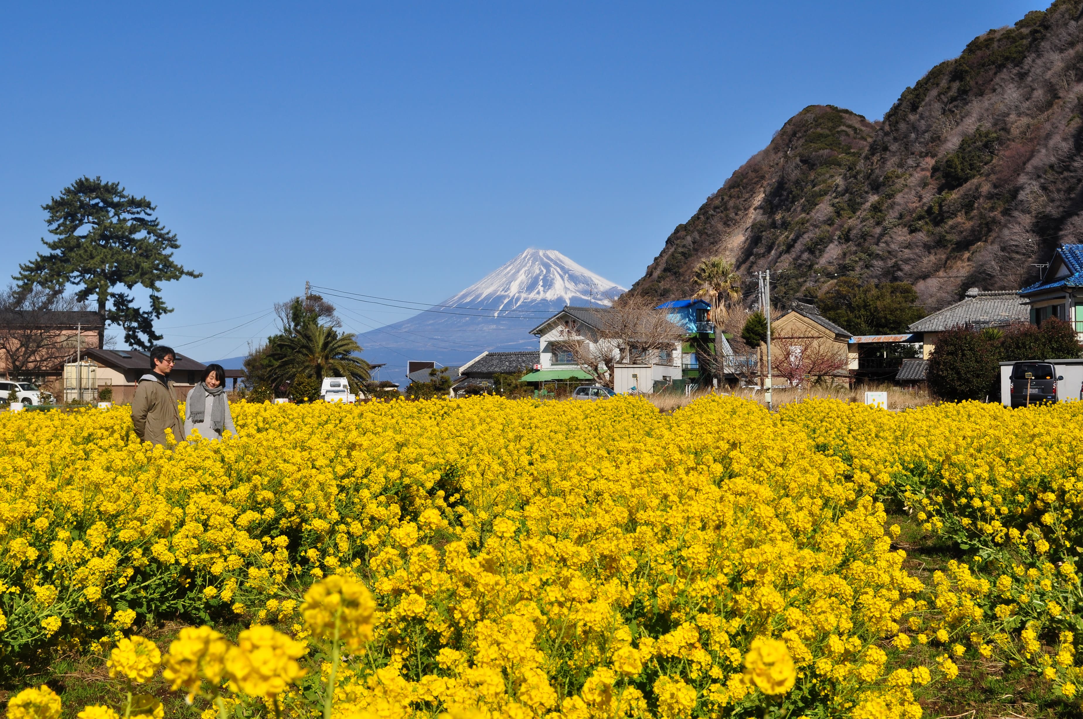 沼津市の風景