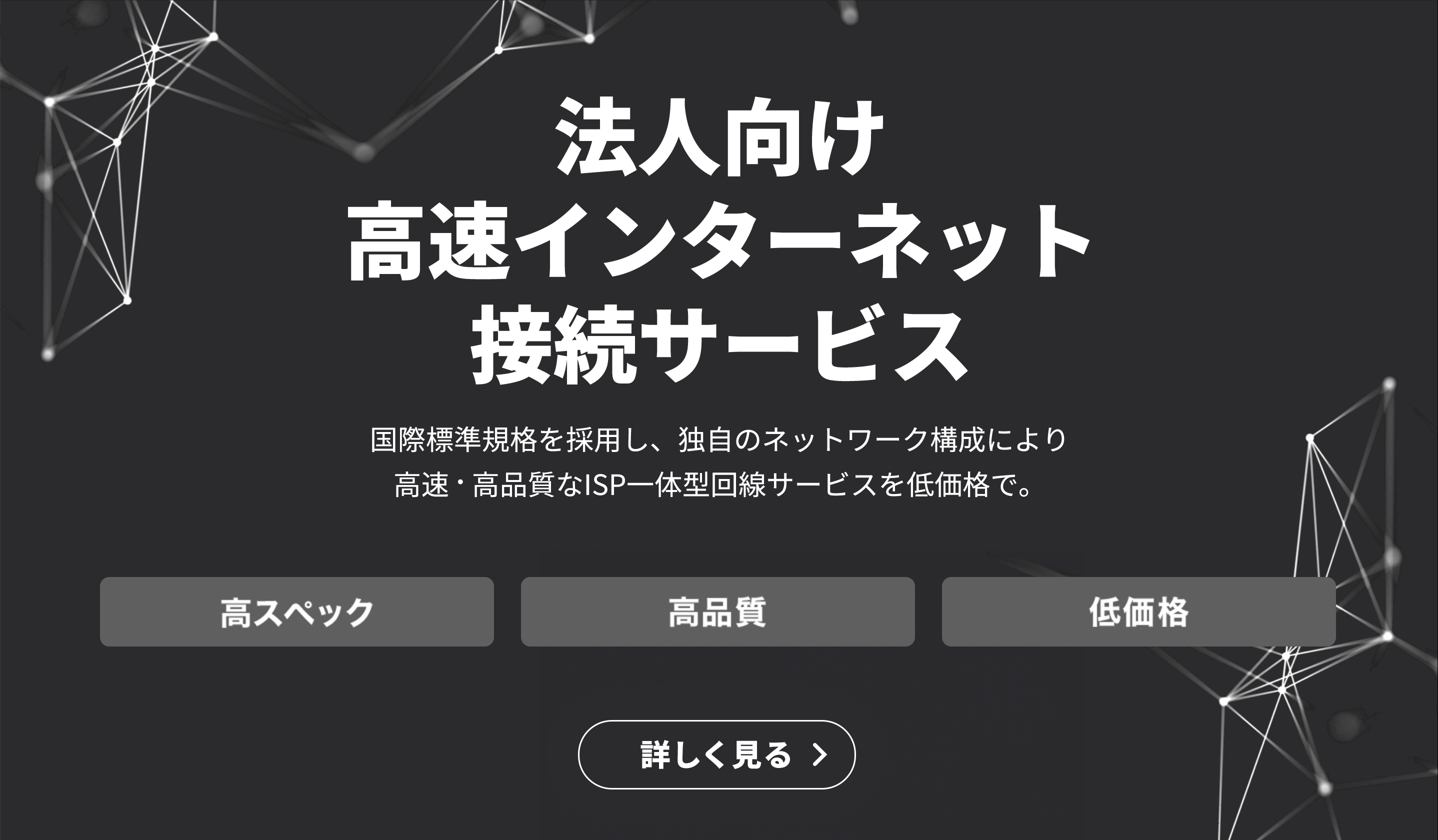 NURO光 （NURO Biz）