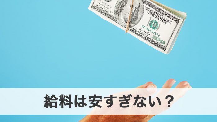 給与は仕事内容に見合っているか