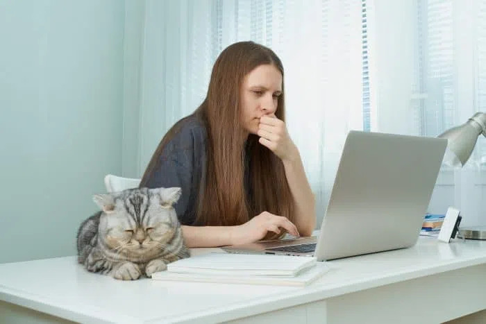 人間嫌いを克服するには 人を嫌う原因や対策を紹介 ナビナビ