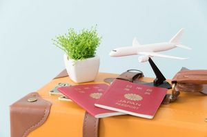 旅行カバンと飛行機の模型